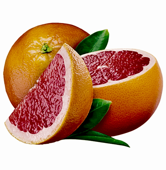 Hizmetler