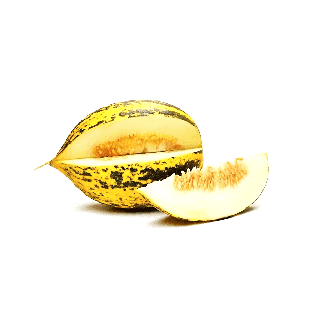 Hizmetler
