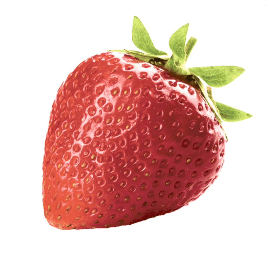 Hizmetler