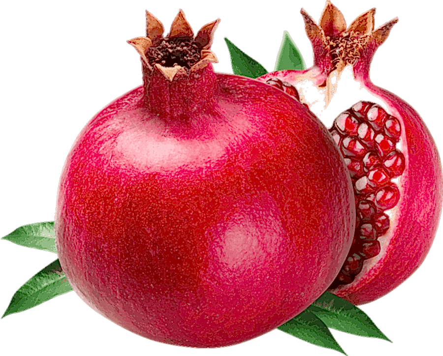 Hizmetler