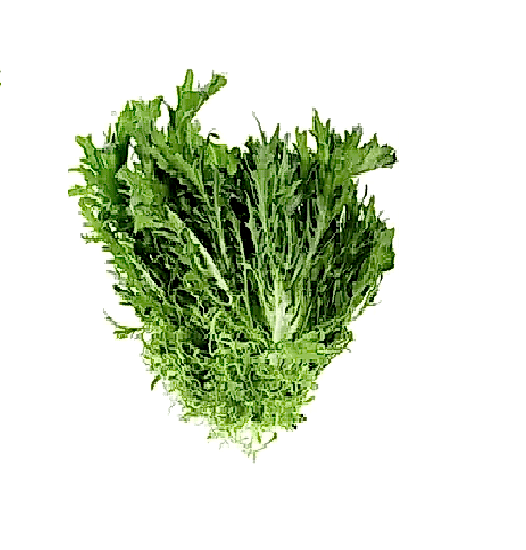Radika