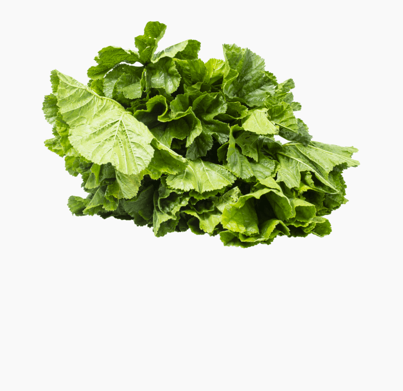 EbeGümeci