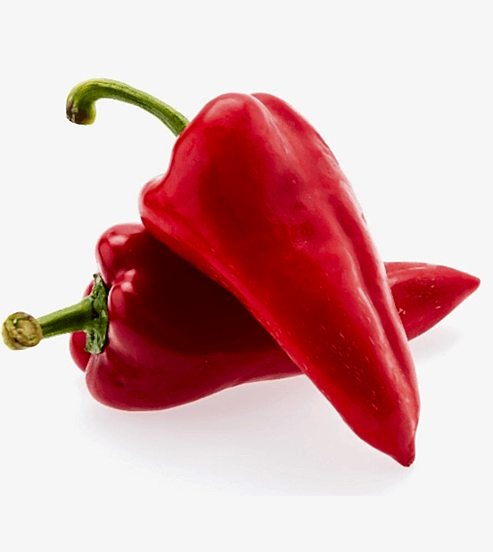 Biber Kapya