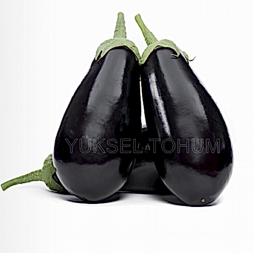 Patlıcan